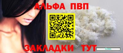 стафф Кингисепп