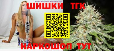 стафф Кингисепп