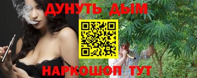 стафф Кингисепп