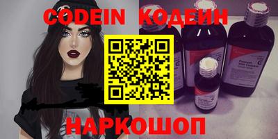 стафф Кингисепп