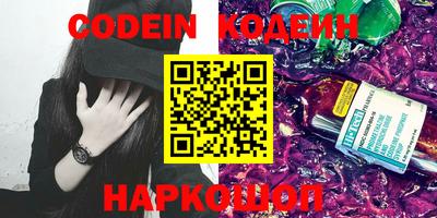 стафф Кингисепп