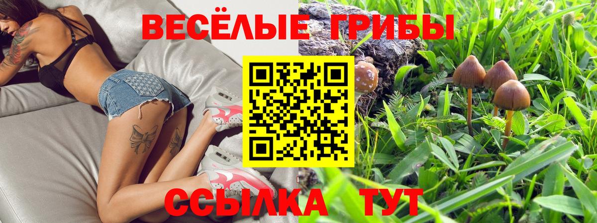 Кимры  Псилоцибиновые грибы Magic Shrooms  Вход с VPN 